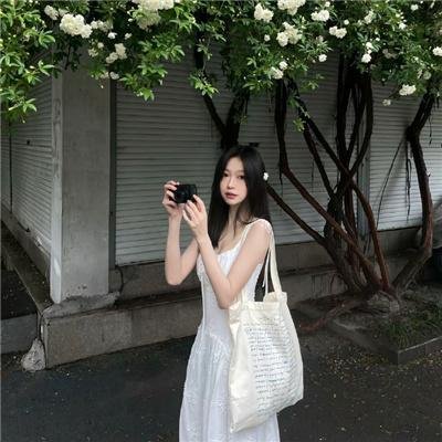 森林之境